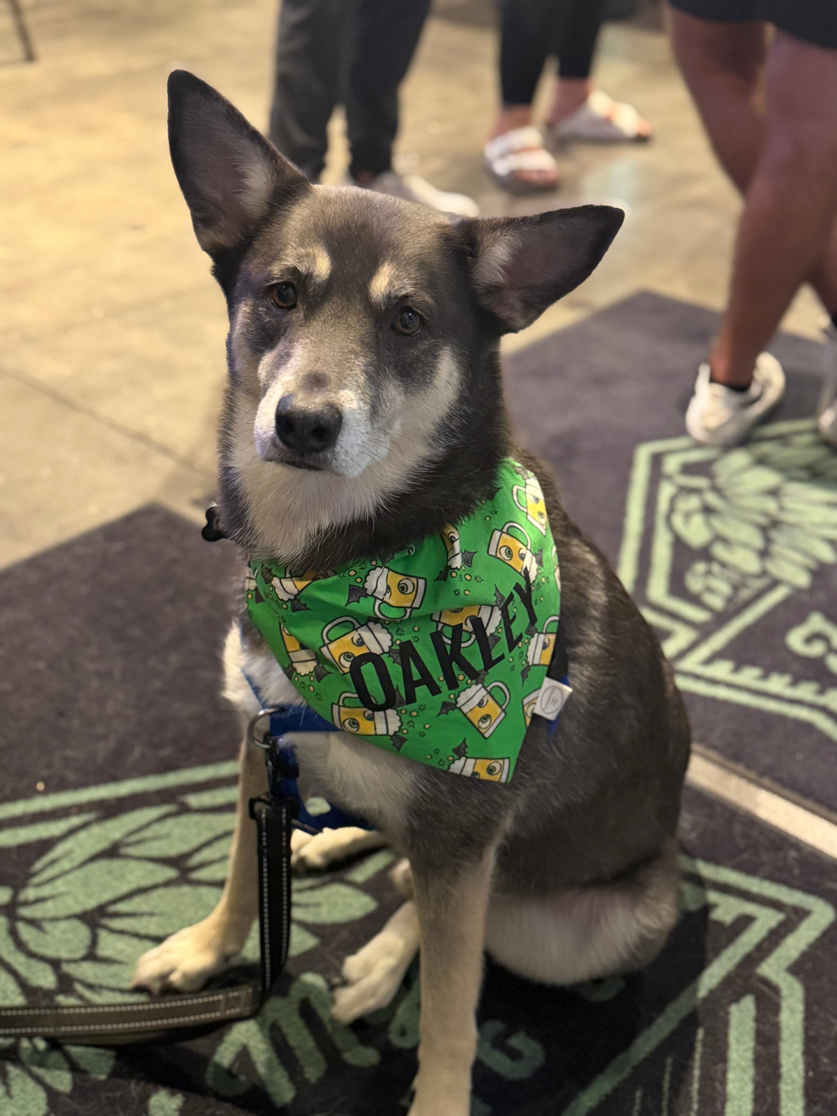 Bat Brews Bandana