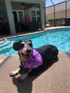 Paint Strokes Bandana