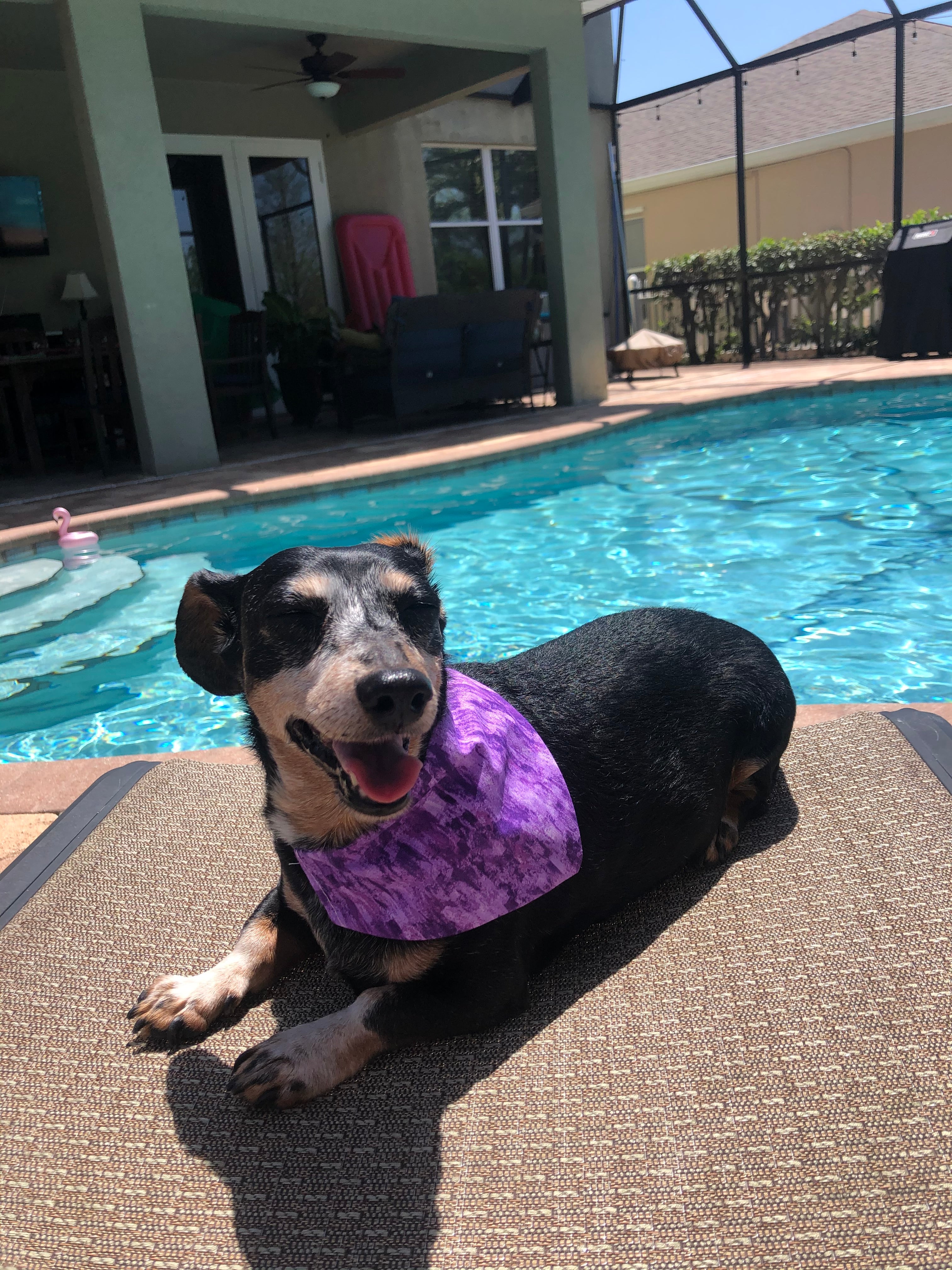 Paint Strokes Bandana