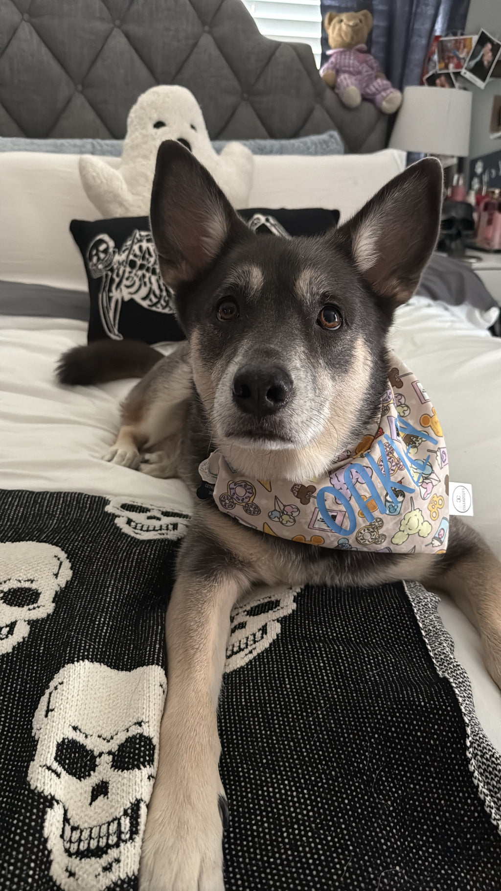 Mouse Park Snacks Bandana