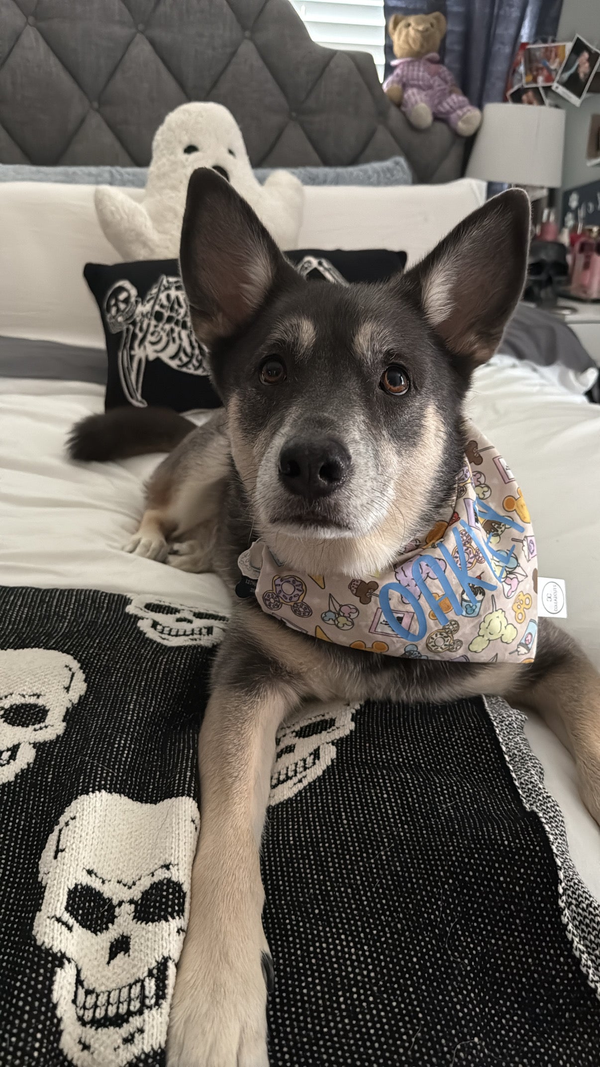 Mouse Park Snacks Bandana