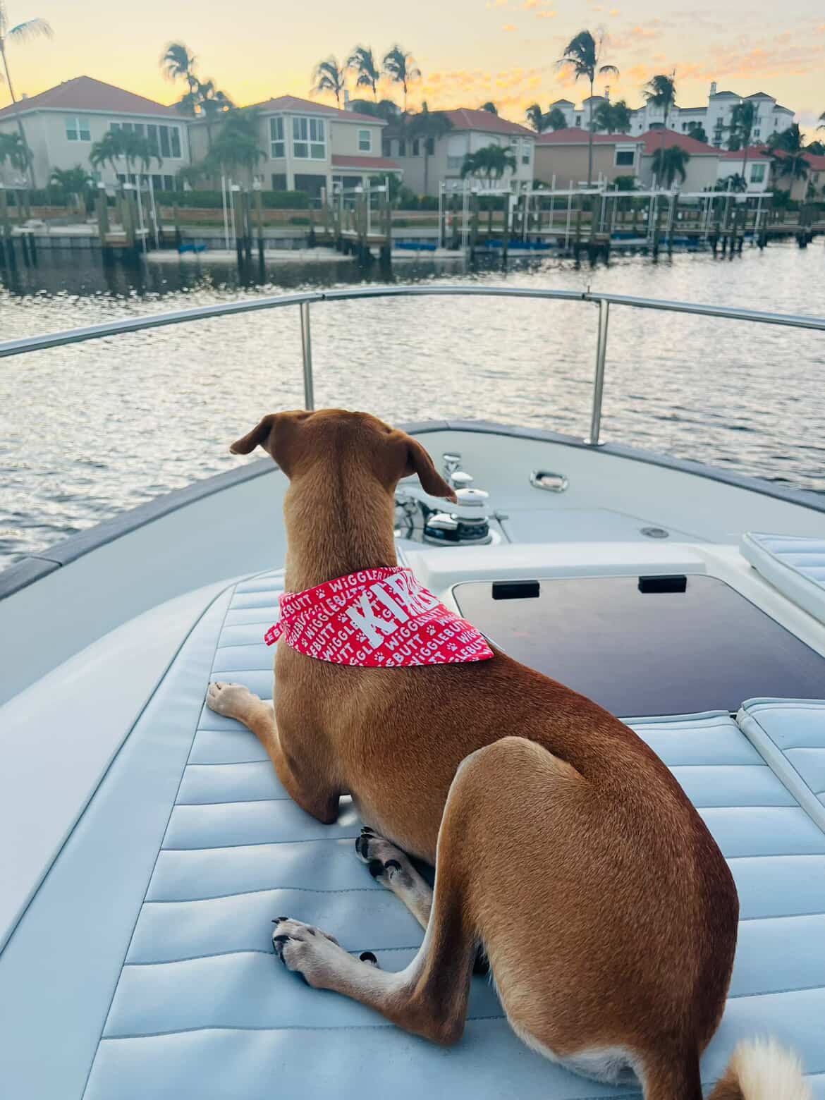 Wiggle Butt Bandana