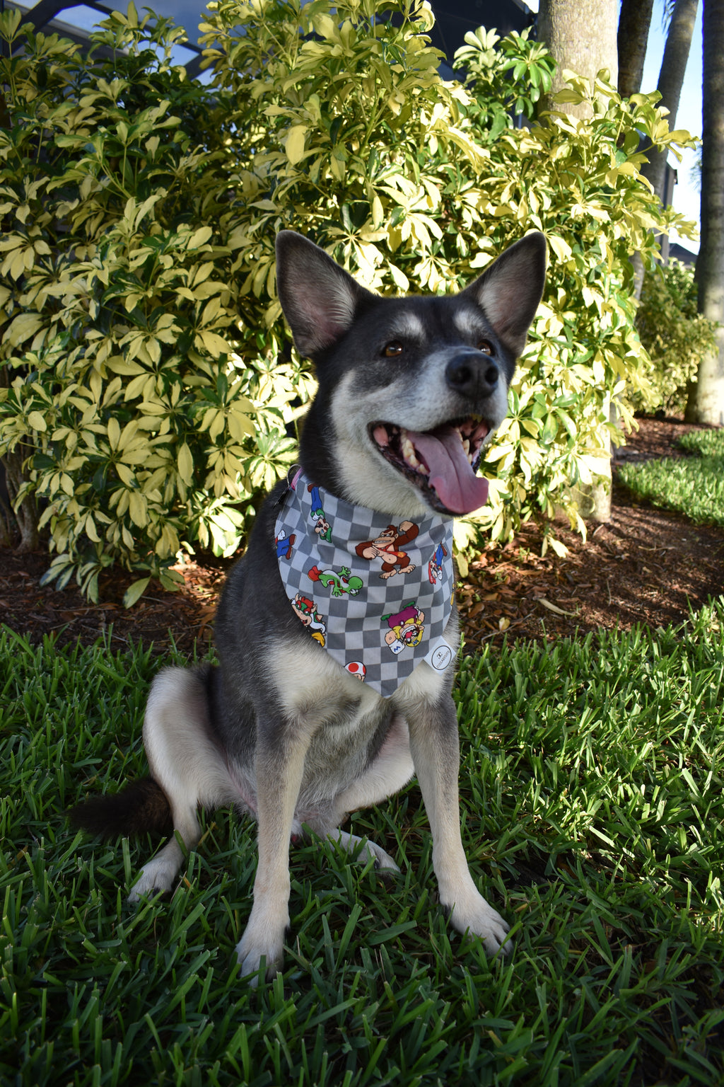 Checkerboard Super Pup Bros Bandana