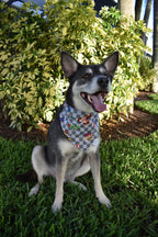 Checkerboard Super Pup Bros Bandana