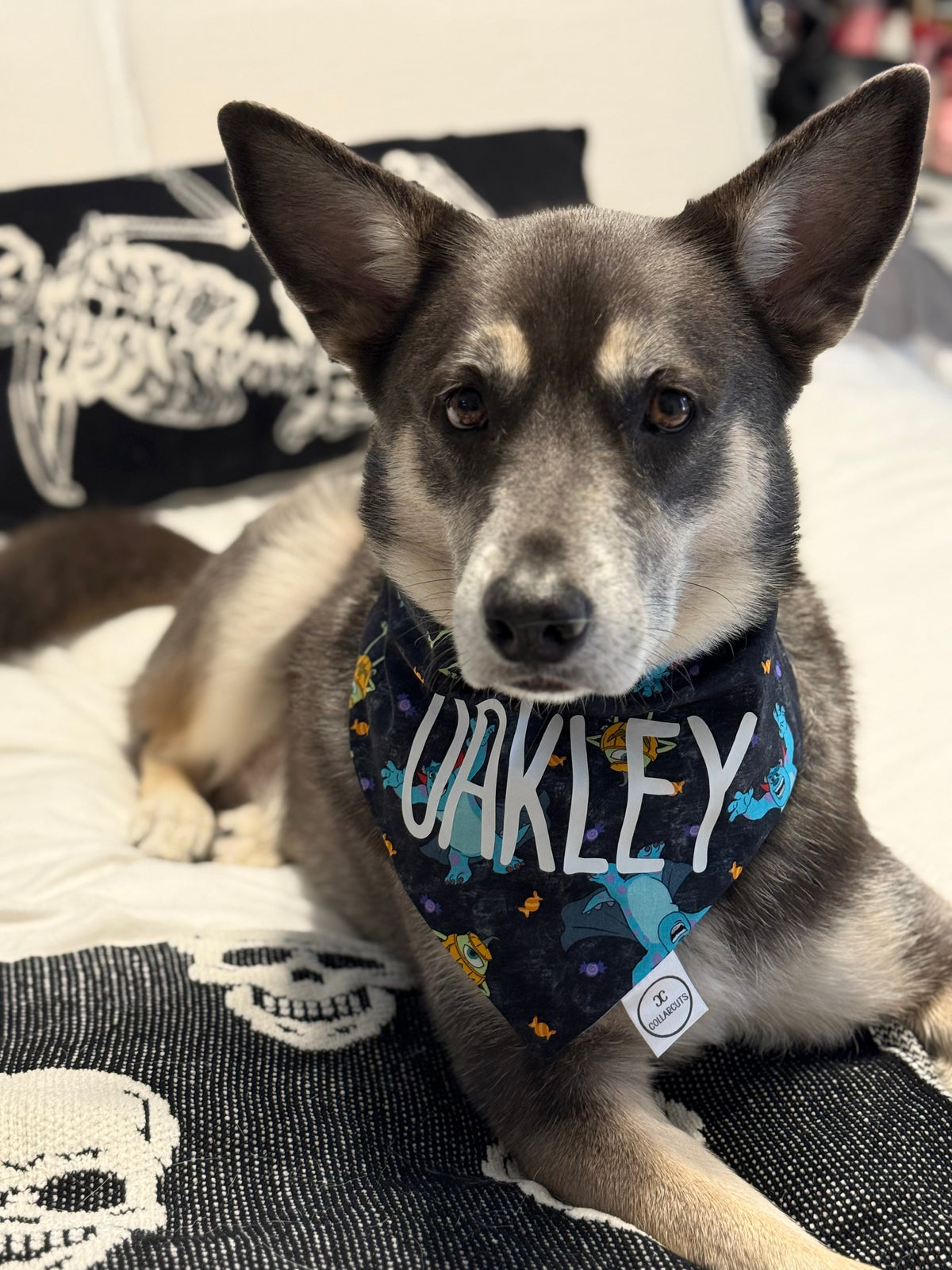 Halloween Monsters Bandana