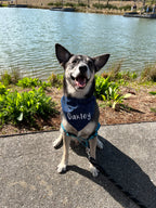 Navy Stars Bandana