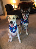 Colorful Paw Prints Bandana