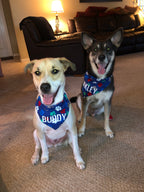 Colorful Paw Prints Bandana