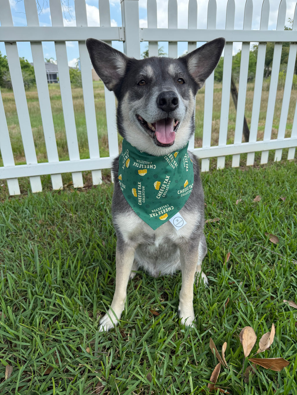 Cheese Tax Collector Bandana