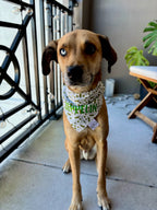Olive Muttini's Bandana