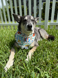 The King Bandana