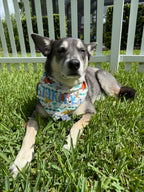 The King Bandana
