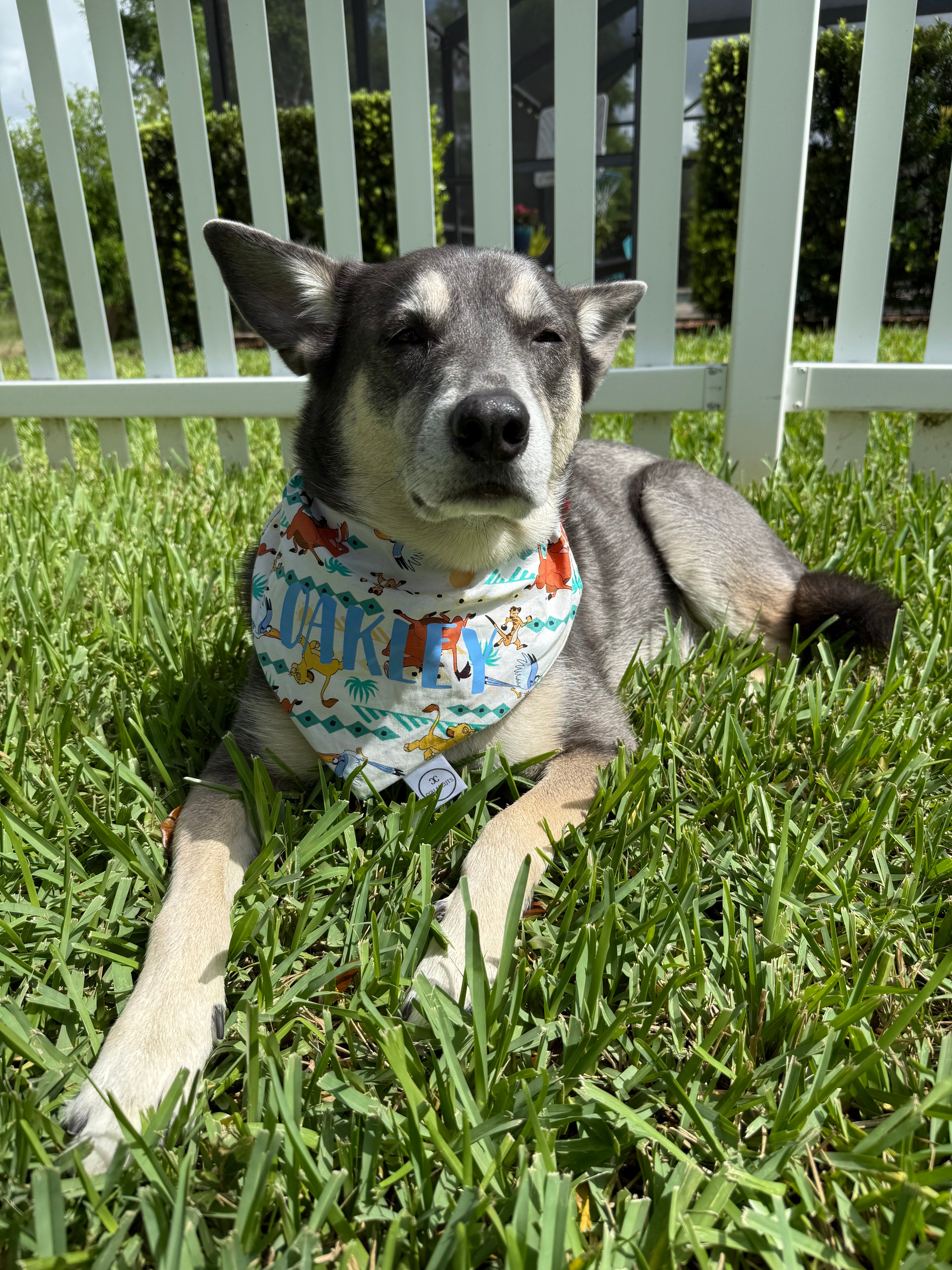 The King Bandana