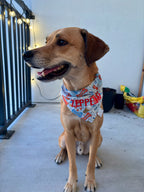 Summer Bones Bandana