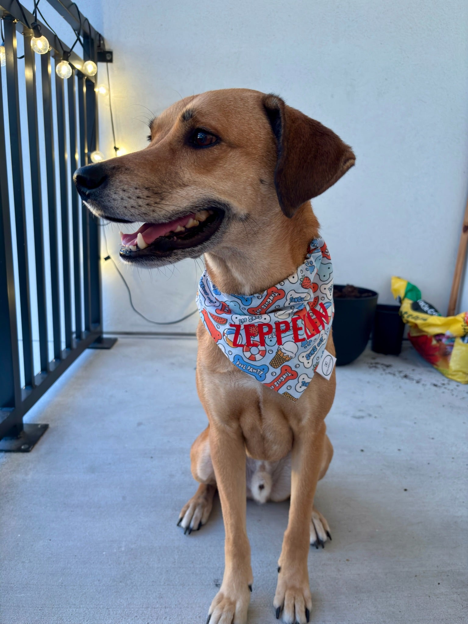 Summer Bones Bandana