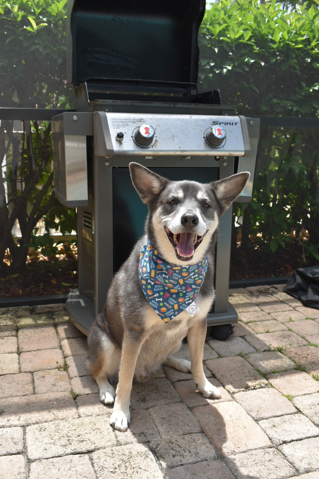 Grill Buddy Bandana