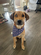 Rescued and Loved Bandana