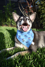 Little Monster Palm Tree Bandana
