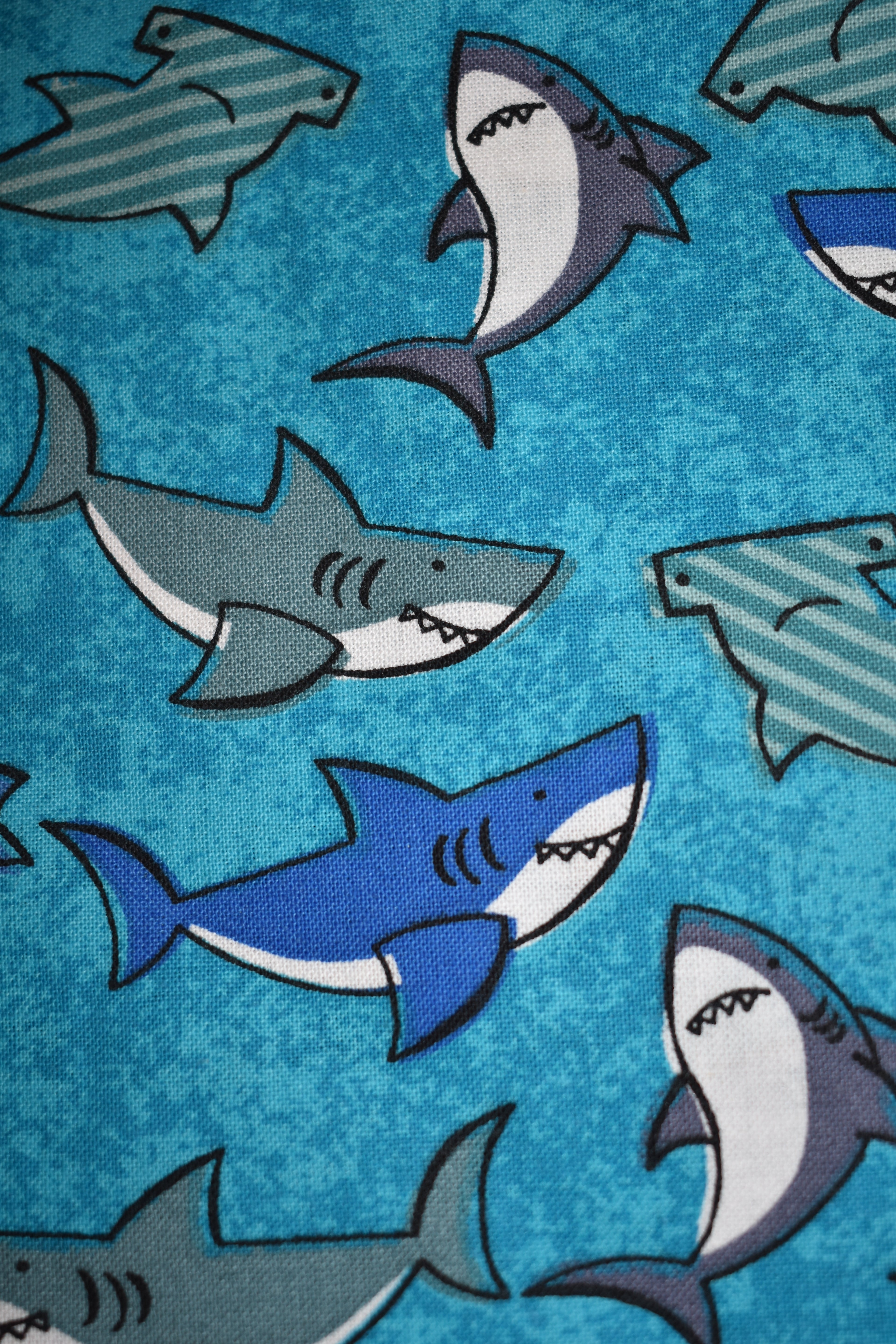 Sharks Bandana