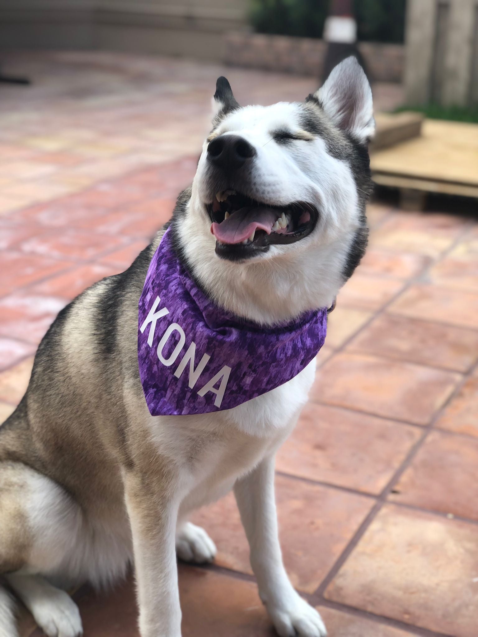 Paint Strokes Bandana