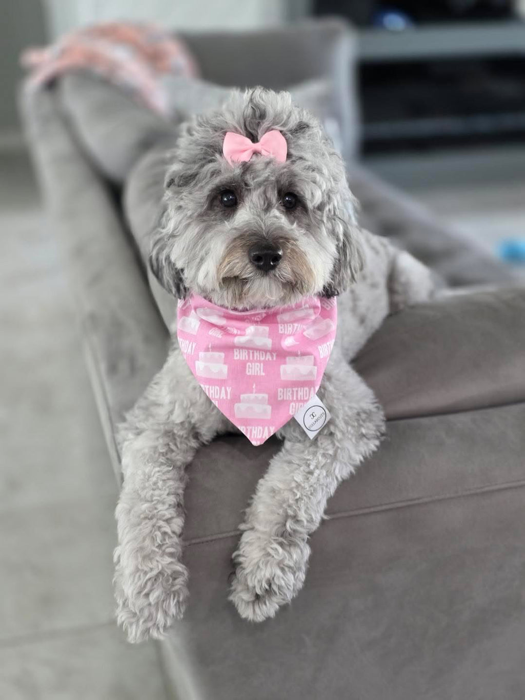 Birthday Girl Bandana