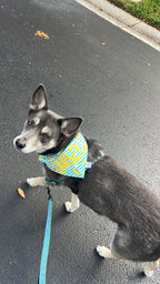 Banana Stripes Bandana