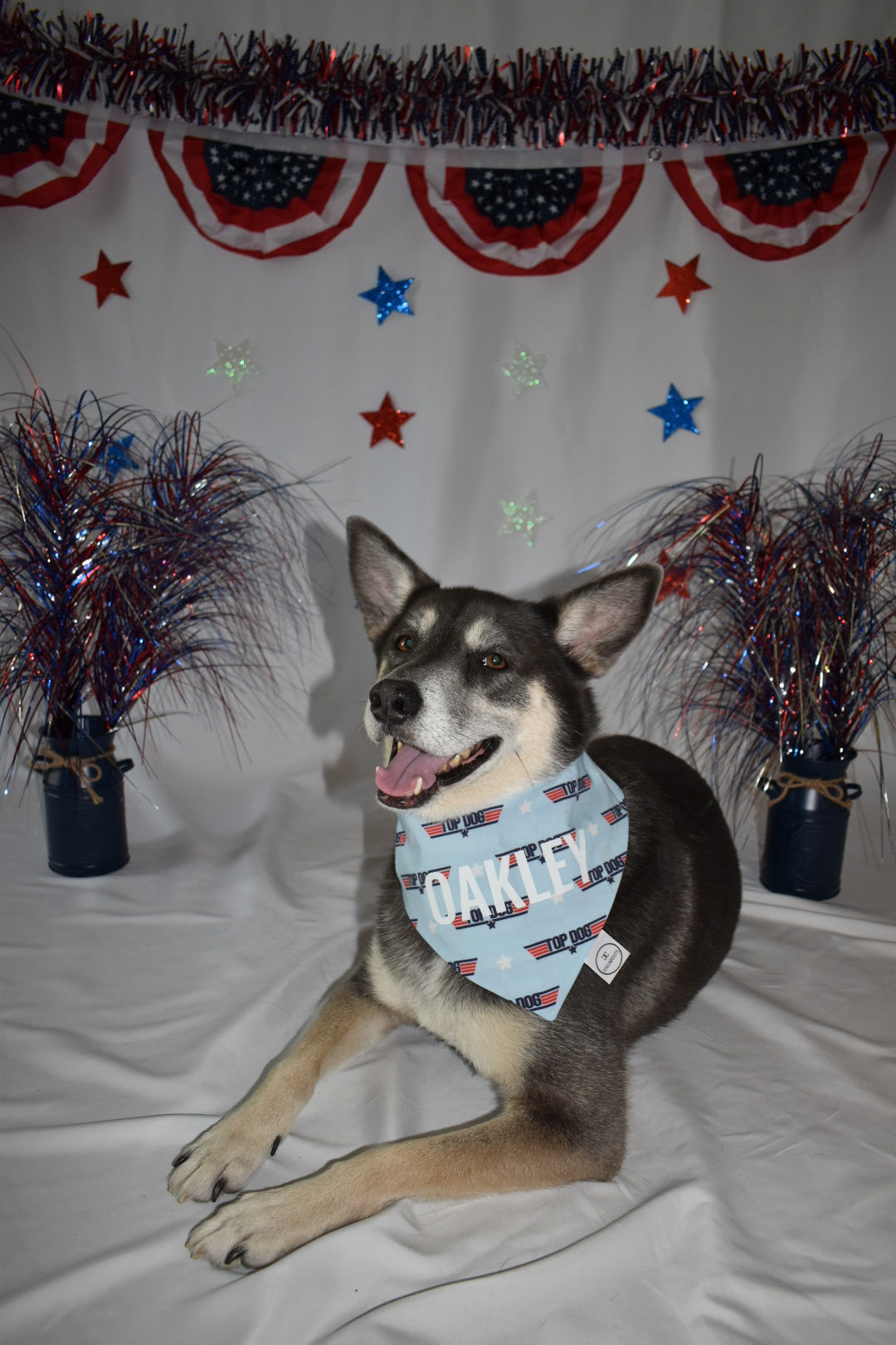 Top Dog Bandana