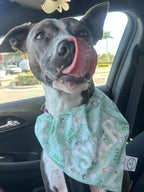 Silly Goose Bandana