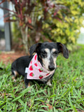 Strawberries Bandana