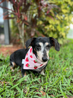 Strawberries Bandana