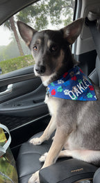 Colorful Paw Prints Bandana