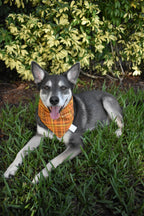 Fall Glitter Plaid Bandana