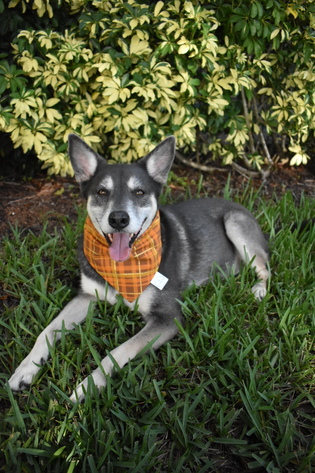 Fall Glitter Plaid Bandana