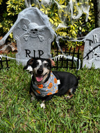 Halloween Candy Baskets Bandana