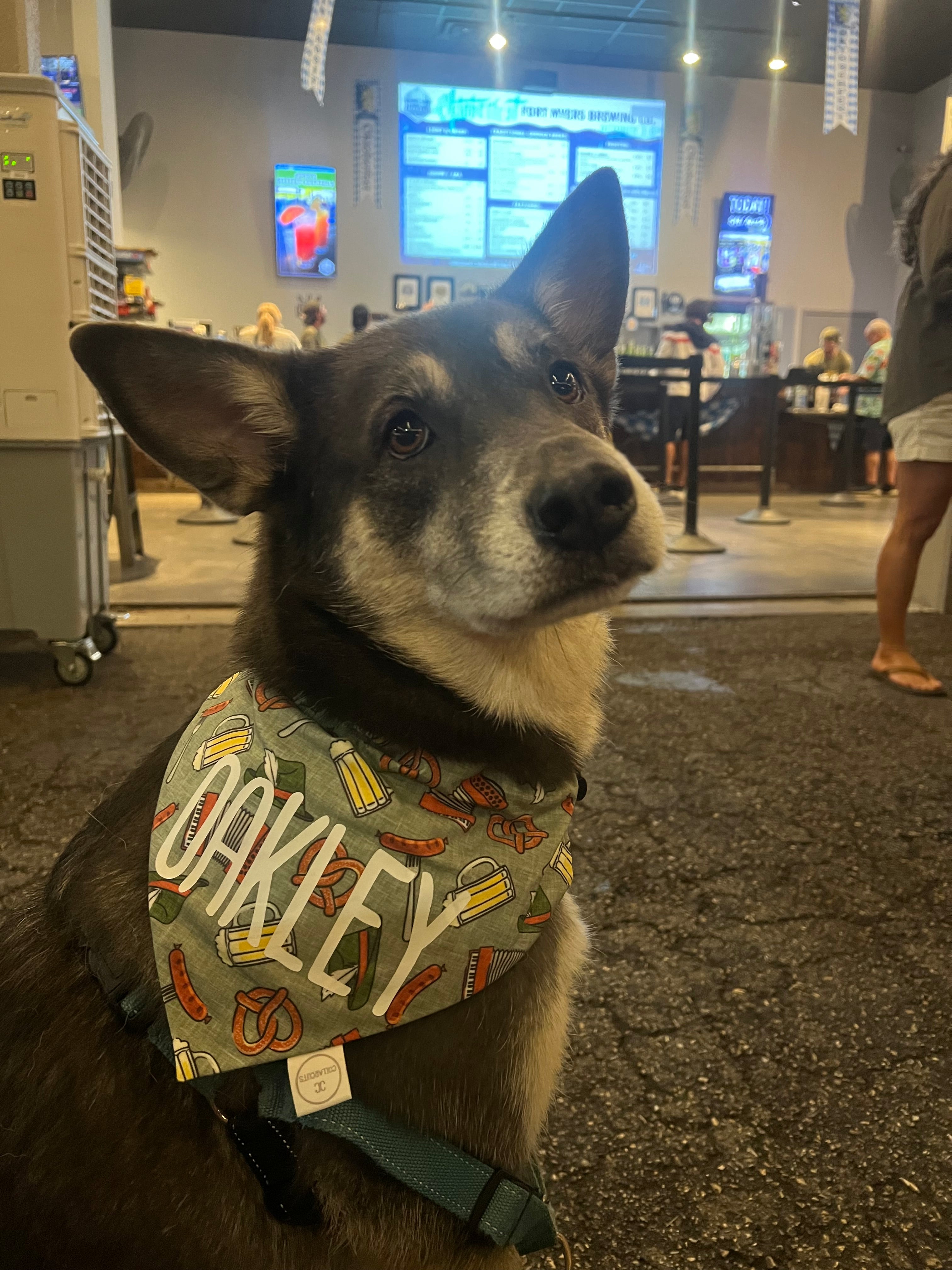 Oktoberfest Bandana