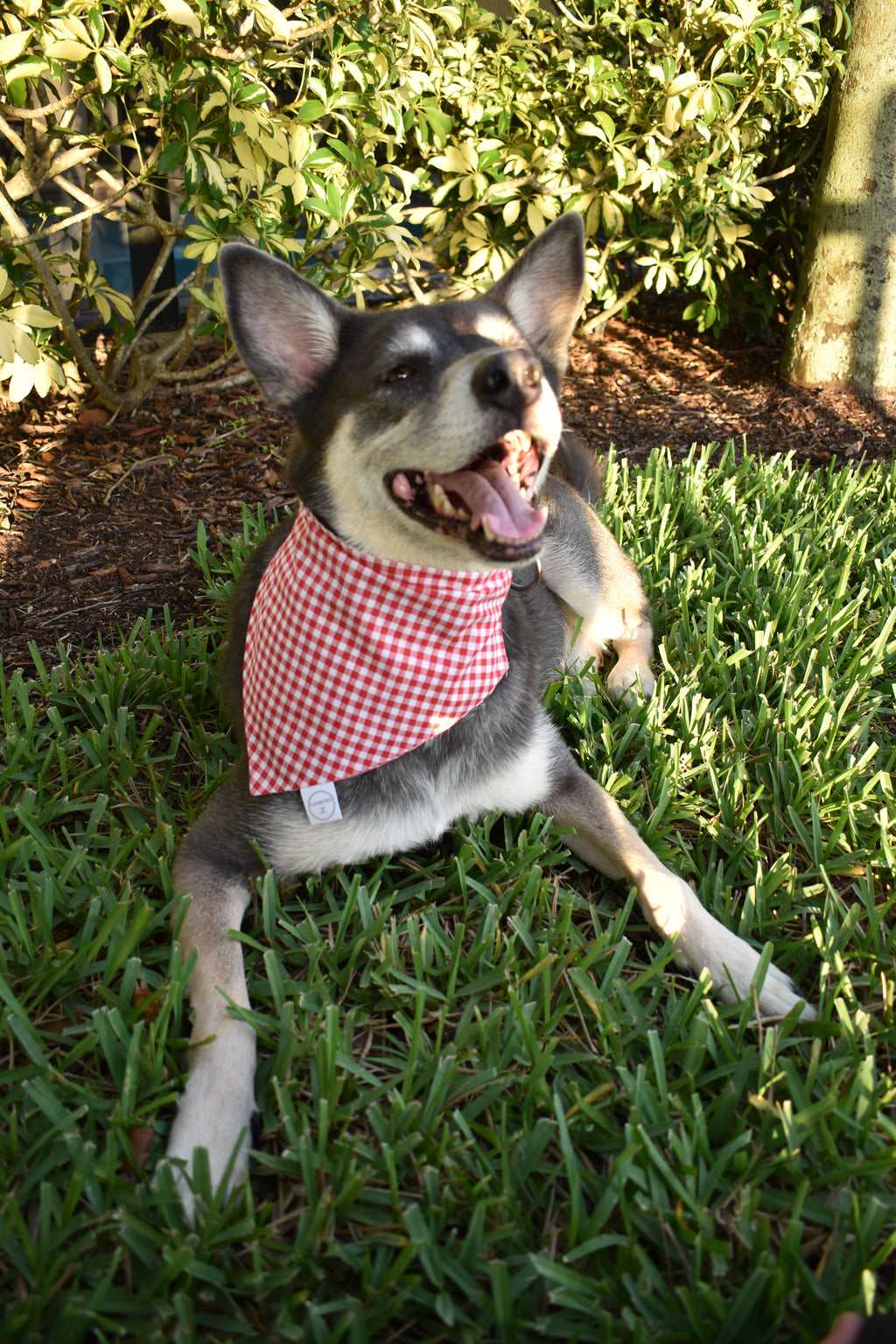 Shaded Buffalo Check Bandana