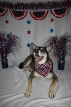 Patriotic Plaid Bandana
