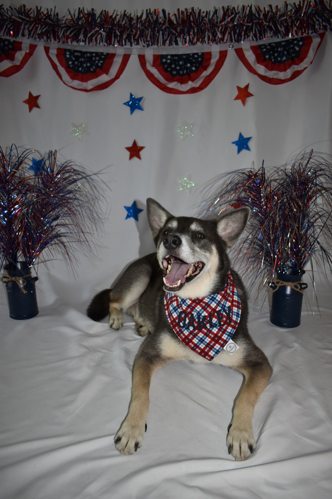 Patriotic Plaid Bandana