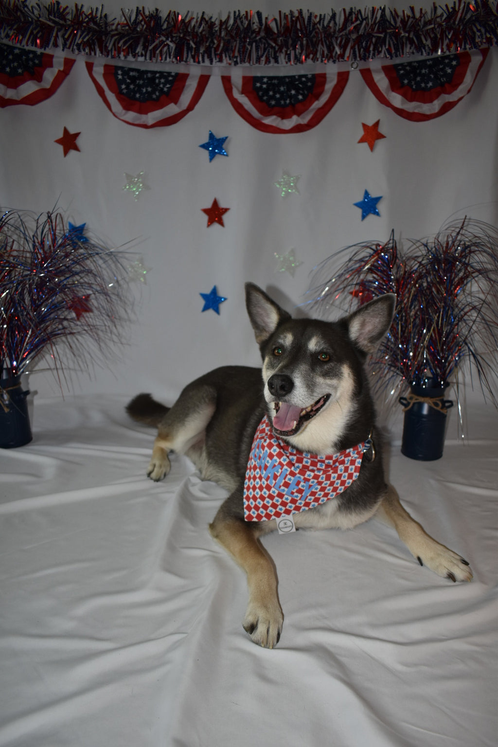 Checkerboard Stars Bandana