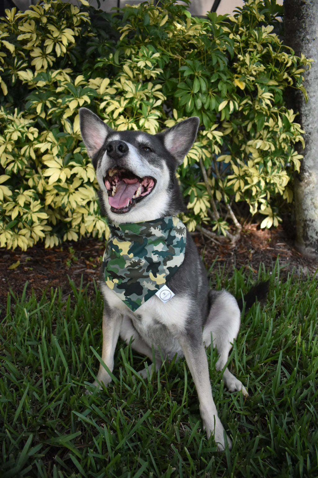 Dinosaur Camo Bandana