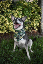 Dinosaur Camo Bandana