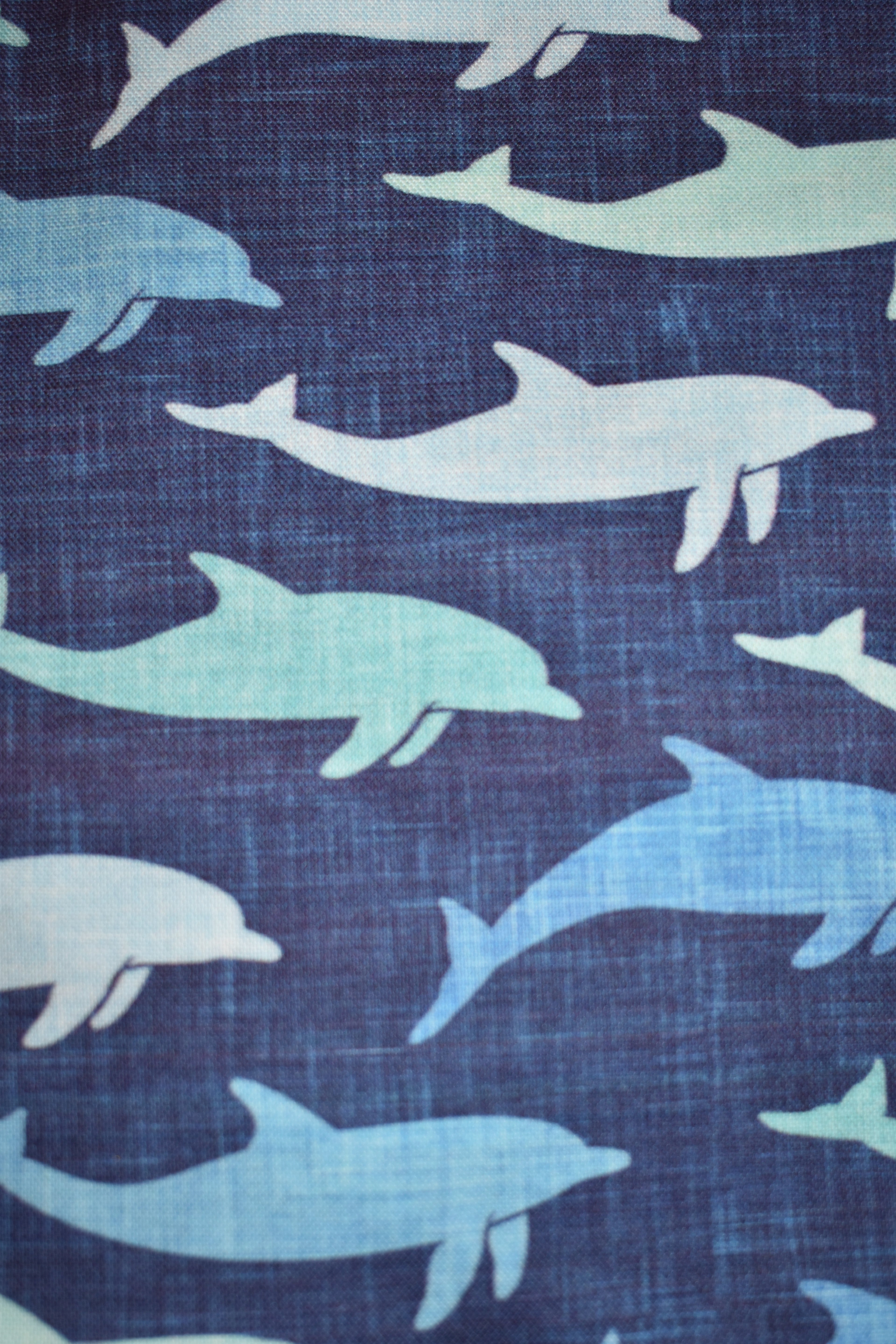 Dolphins Bandana