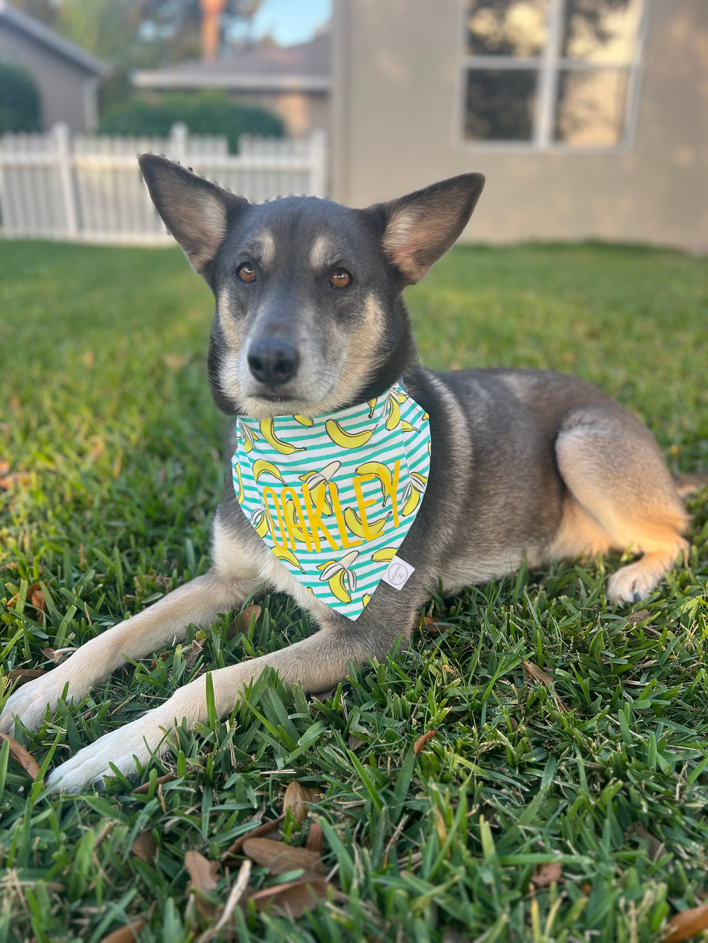 Banana Stripes Bandana