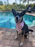 Pink Flamingos Bandana
