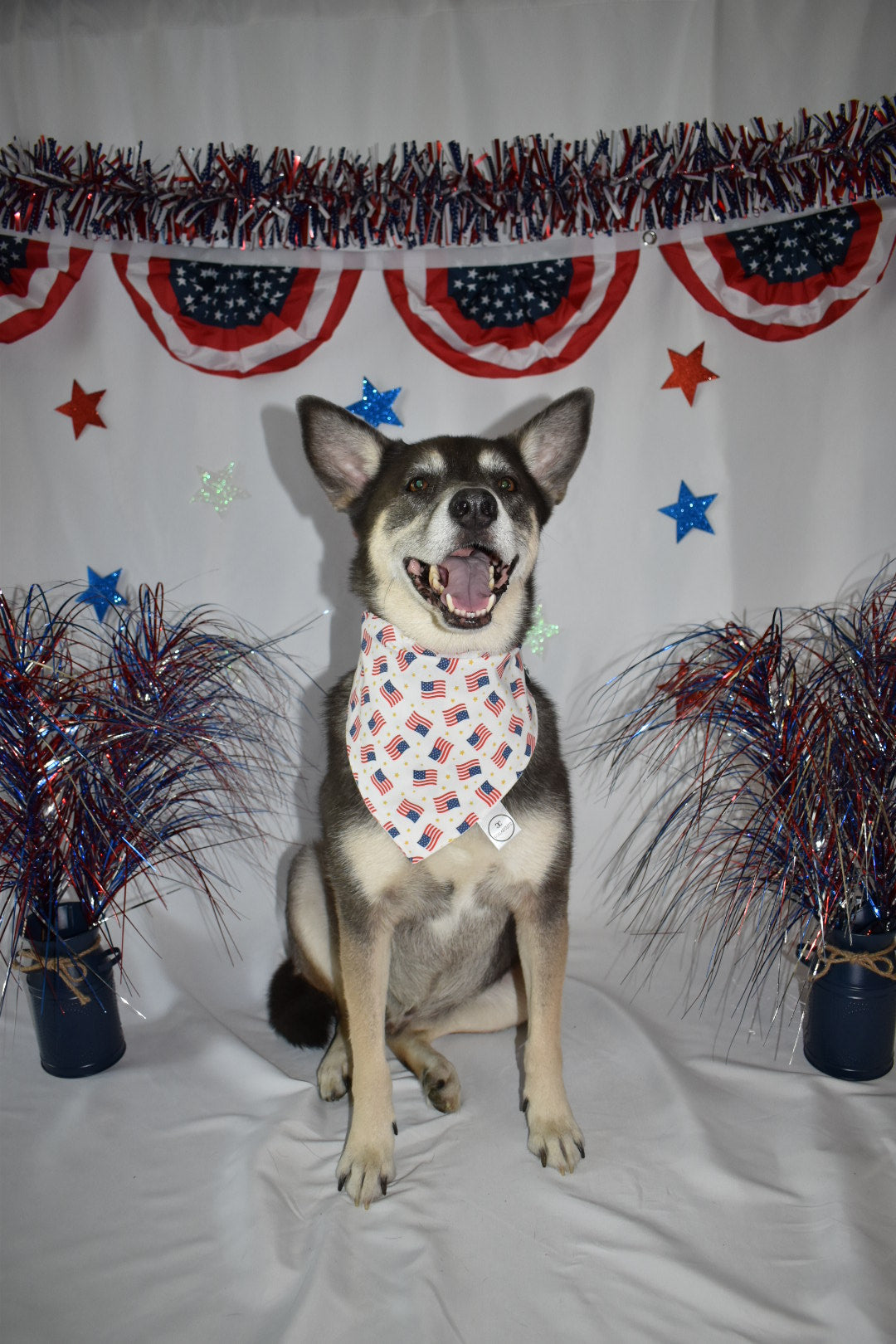 Traditional Flag Bandana