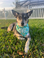 Dino Donuts Bandana