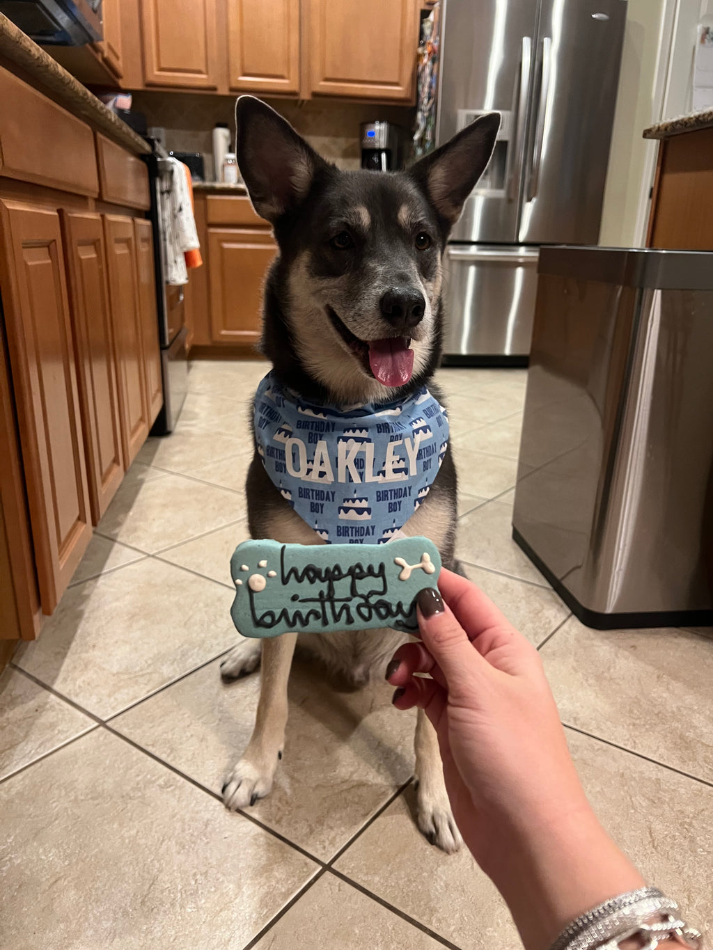 Birthday Boy Bandana