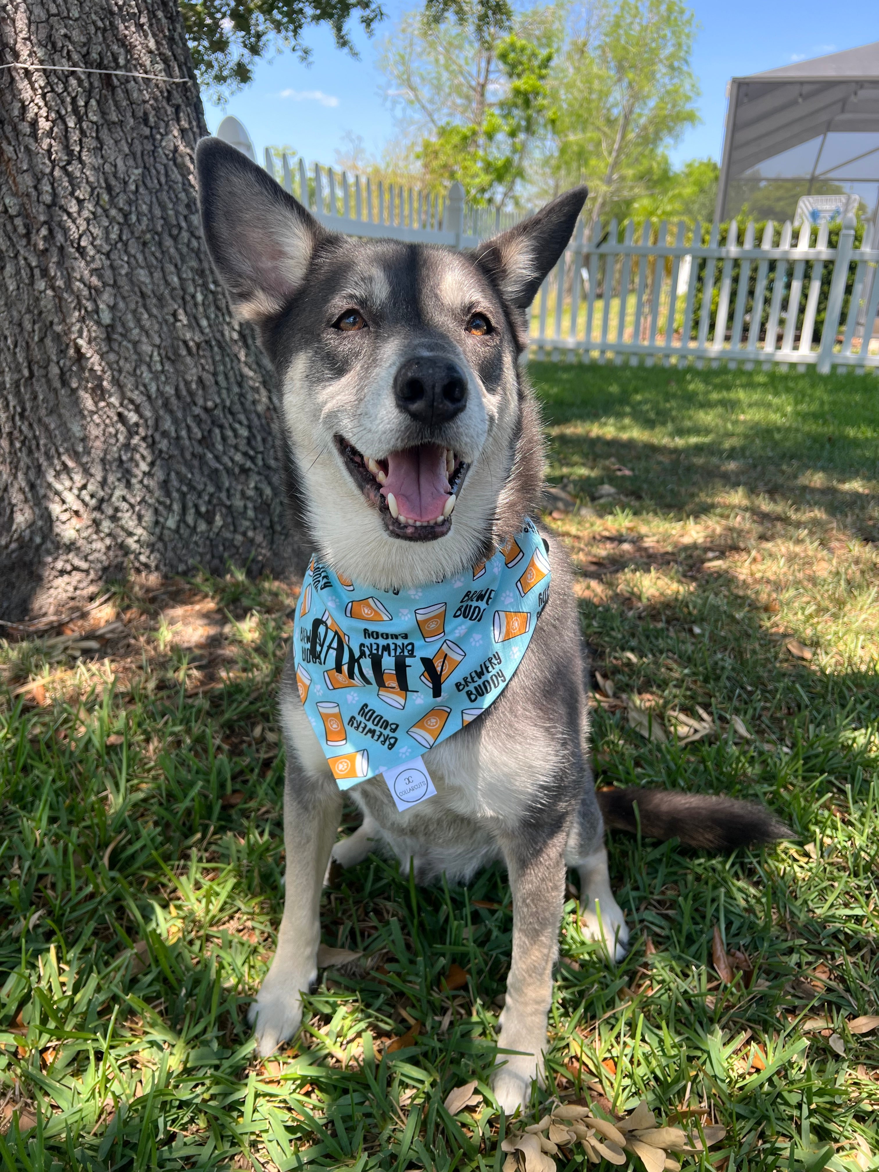 Brewery Buddy Bandana