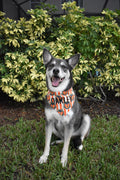 Mouse Pumpkin Stripes Bandana