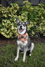 Mouse Pumpkin Stripes Bandana